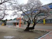 69_yeongokelementaryschool-1-18.jpg